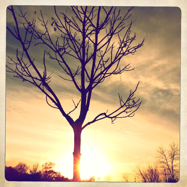 Hip 339634831.735047