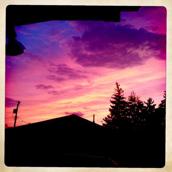 Hip 339768328.679934