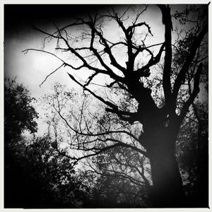 Hip 341189207.285002