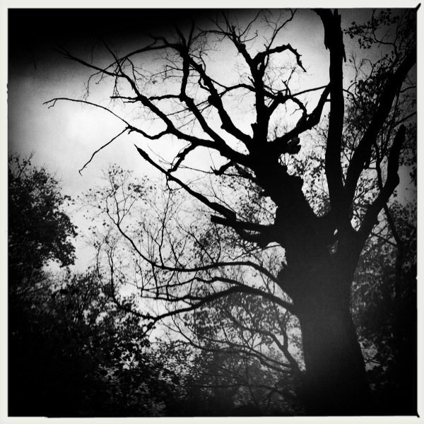 Hip 341189207.285002