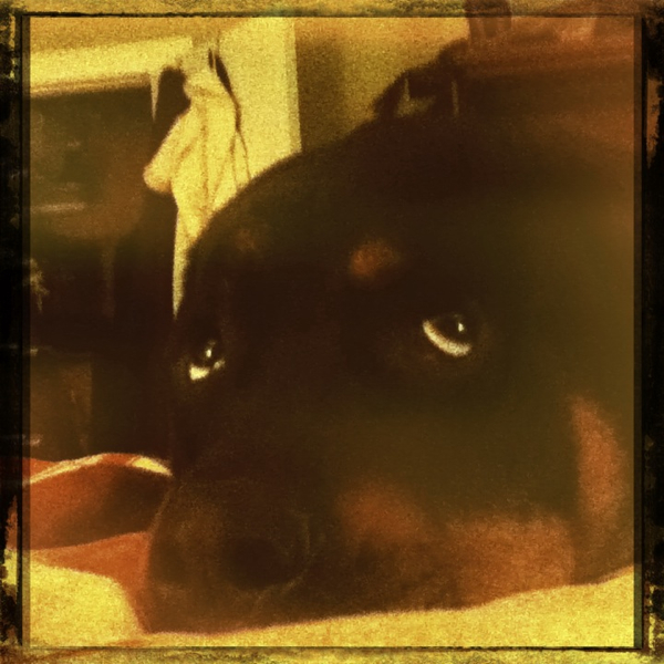 Hip 341458002.291571