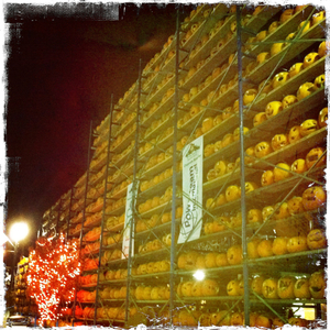 Hip 341106423.040751