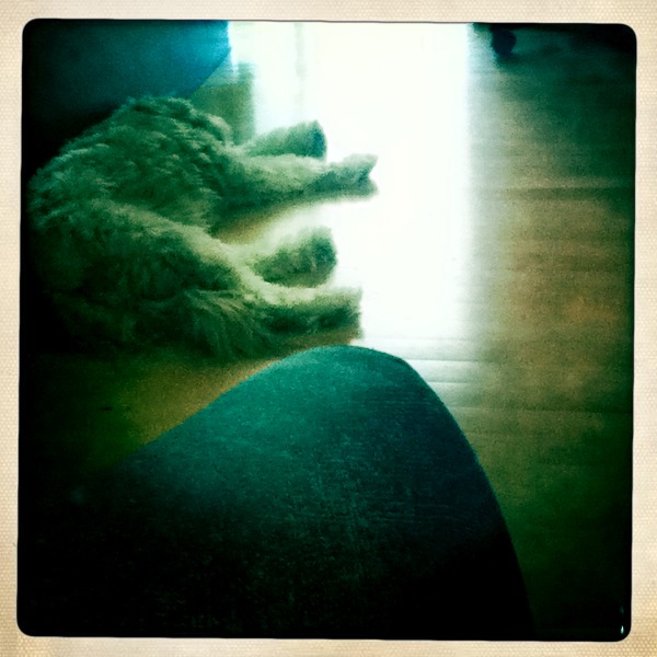 Hip 336925601.422087