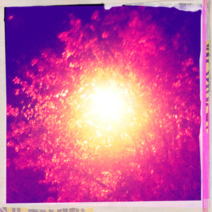 Hip 341459884.059910