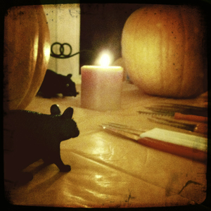 Hip 341461731.450075