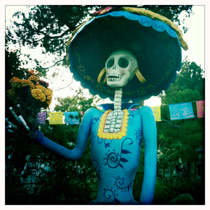 Hip 338348015.940362