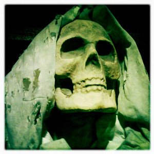 Hip 341217612.272436