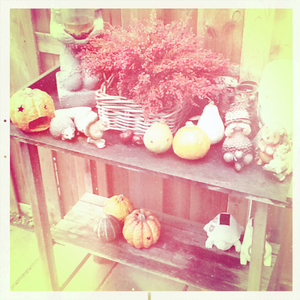 Hip 341487196.315537