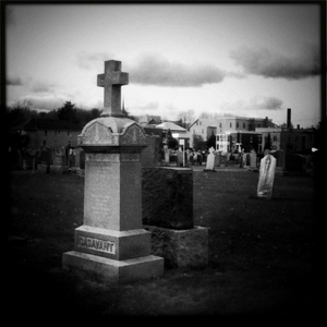 Hip 341425503.384563