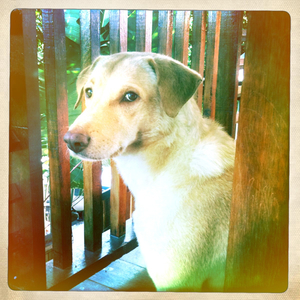 Hip 340363190.927973