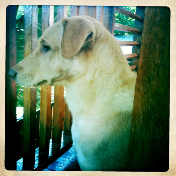 Hip 340363134.782895