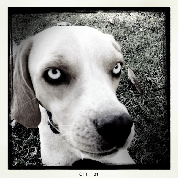 Hip 339853338.980297