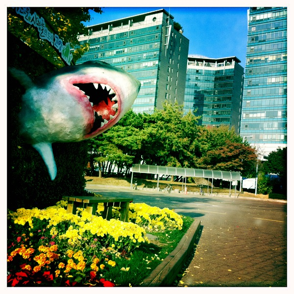 Hip 341476086.998986