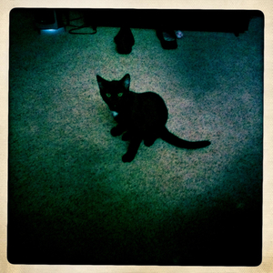 Hip 341501260.584181