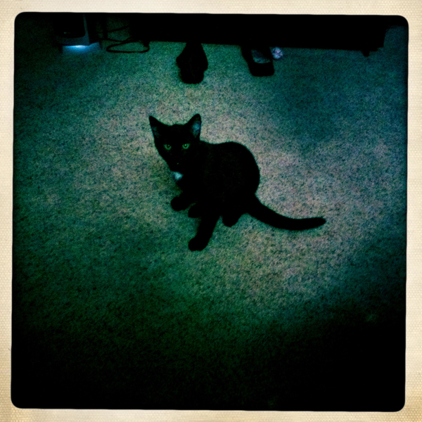 Hip 341501260.584181