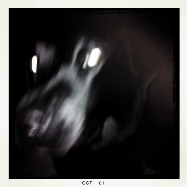 Hip 341275174.460132