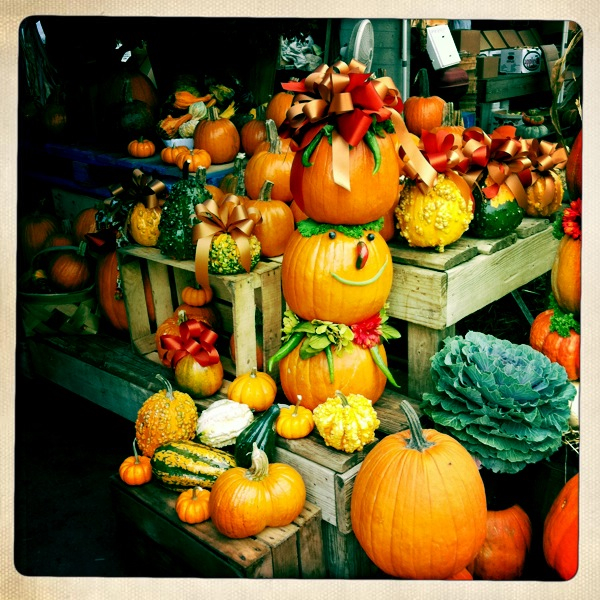 Hip 340222233.404210