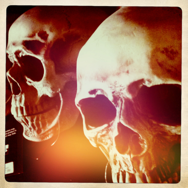 Hip 337718802.105157