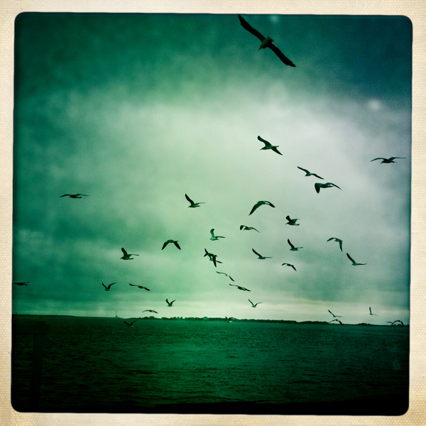 Hip 338587159.592205