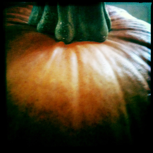 Hip 340916464.984657