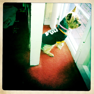 Hip 341512135.717207