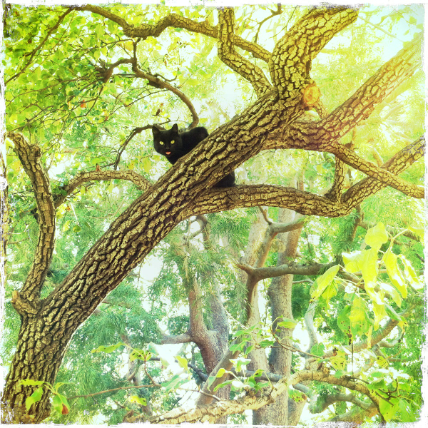 Hip 341440840.116357