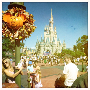 Hip 341163562.406729