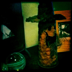 Hip 340063758.810124