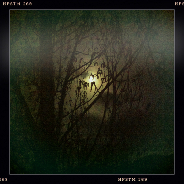 Hip 327394855.989664