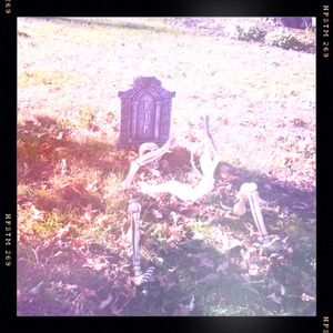 Hip 340486763.193577