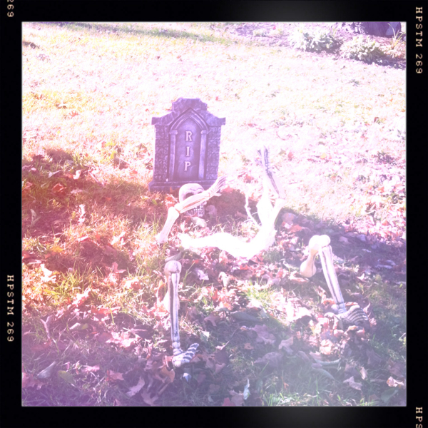 Hip 340486763.193577