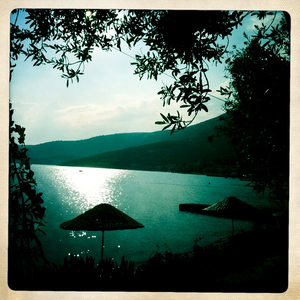 Hip 331400161.994615