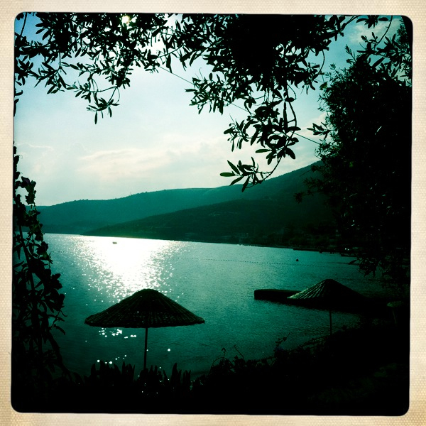 Hip 331400161.994615