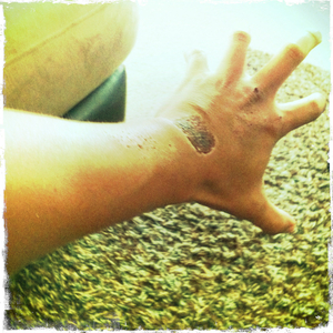 Hip 341521822.971286