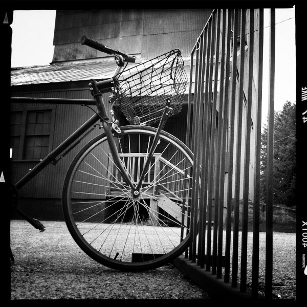 Hip 341522101.326541