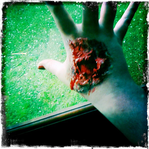 Hip 309513912.201109