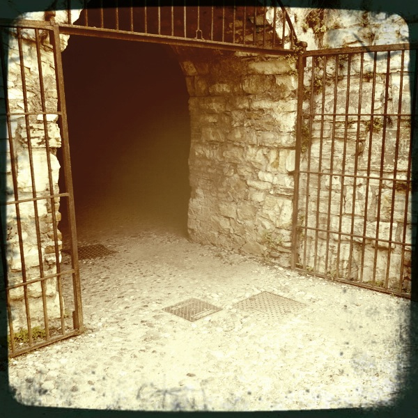 Hip 339167903.883356