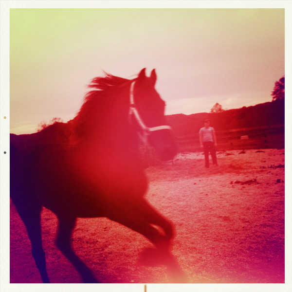 Hip 340668272.288909