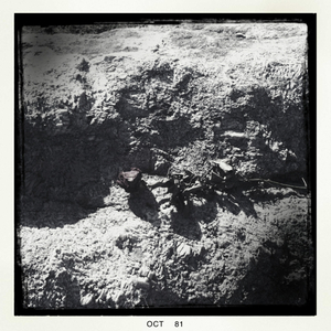 Hip 341518566.524689