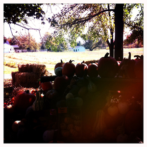 Hip 339872744.372670