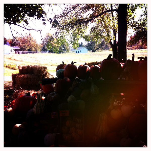 Hip 339872744.372670