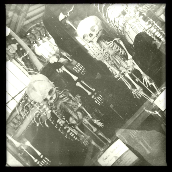 Hip 340100491.930055