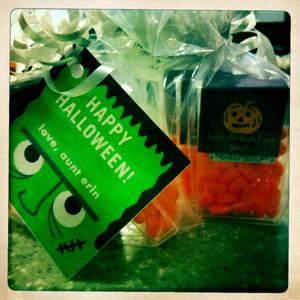 Hip 341279955.980692