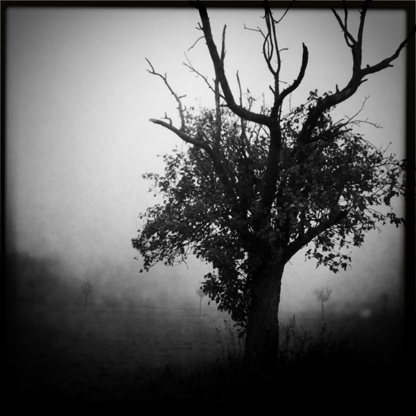 Hip 340878425.441322