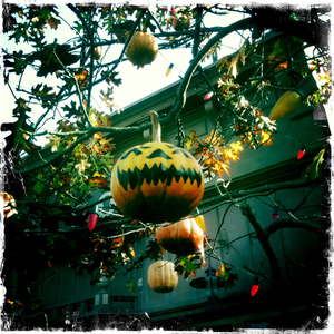 Hip 340928871.086551