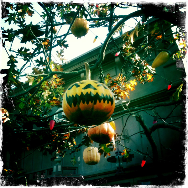 Hip 340928871.086551