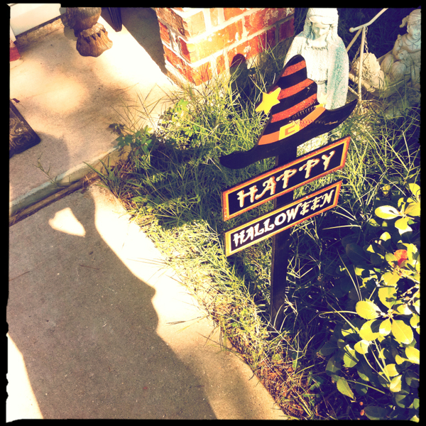 Hip 339279003.158498