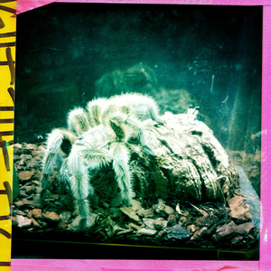 Hip 341411449.279228