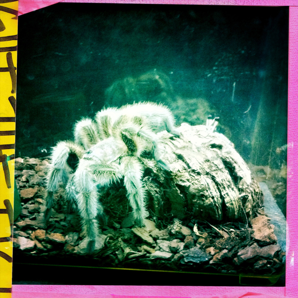 Hip 341411449.279228