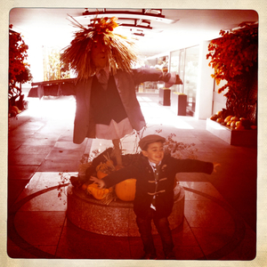 Hip 341498574.678637